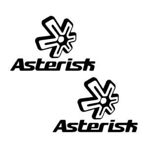 Asterisk Stickers – Star Mark & Wordmark Motocross Decals (2-Pack)
