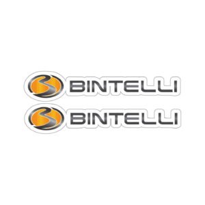 Bintelli Oval Logo Stickers (2-Pack) – Orange and Grey Printed Pair