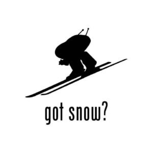 Got Snow? Skiing 2 Stickers (2-Pack) - Winter Alpine Sport Vinyl Decals