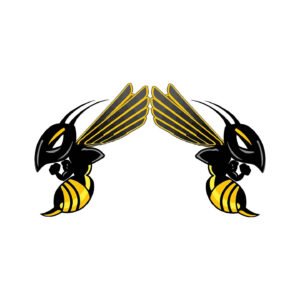 Honda CB Hornet 599 Naked Bike Stickers – Motorcycle Decals (2-Pack)