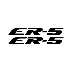 Kawasaki ER-5 Standard Logo Stickers (2-Pack) - Tank & Mid Fairing Decals