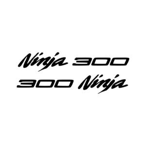 Kawasaki Ninja 300 Sport Stickers (2pc) - Side Body Panel Vinyl Decals