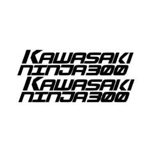 Kawasaki Ninja 300 V2 Racing Stickers (2pc) - Fairing & Bodywork Decals