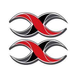 XMotos Motorcycle Logo Pair (2-Piece) Stickers Decals for Pit Bike Fairings